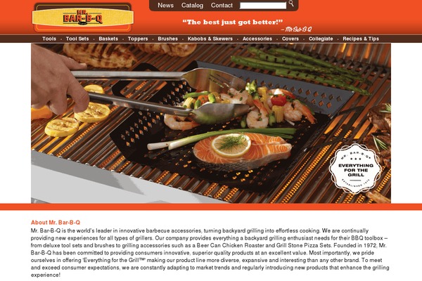 Salient theme site design template sample