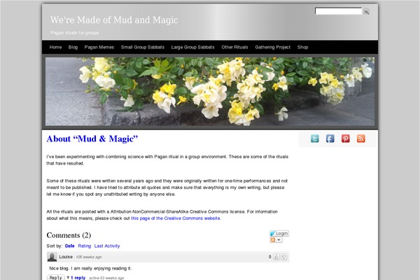Site using Facebook Button by BestWebSoft plugin