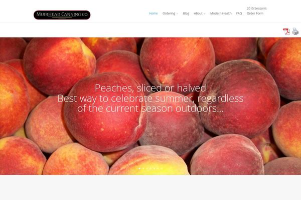 Divi theme site design template sample