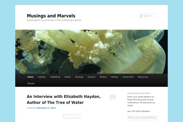 Genesis theme site design template sample