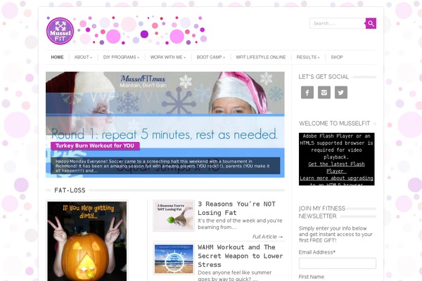 Site using eCommerce Product Catalog by impleCode plugin