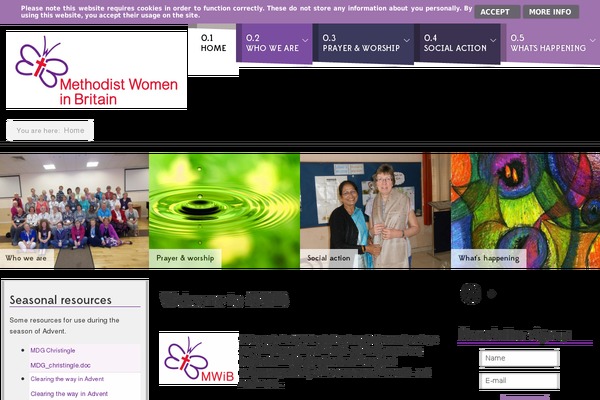 Cardinal Child theme site design template sample