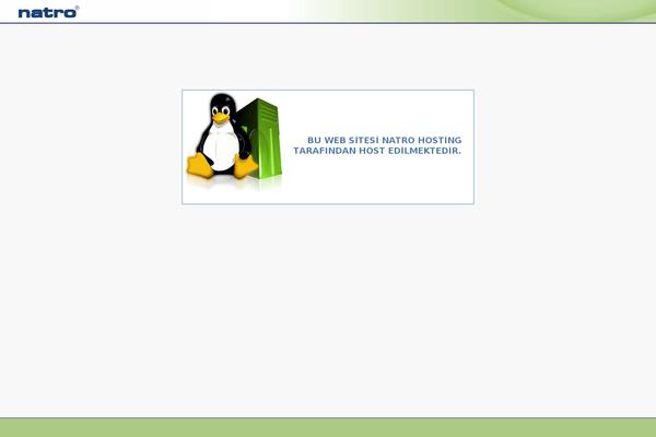 iPin Pro theme site design template sample