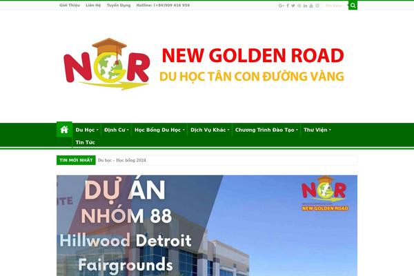 Sahifa theme site design template sample