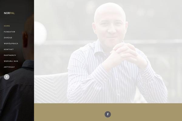 Bridge theme site design template sample