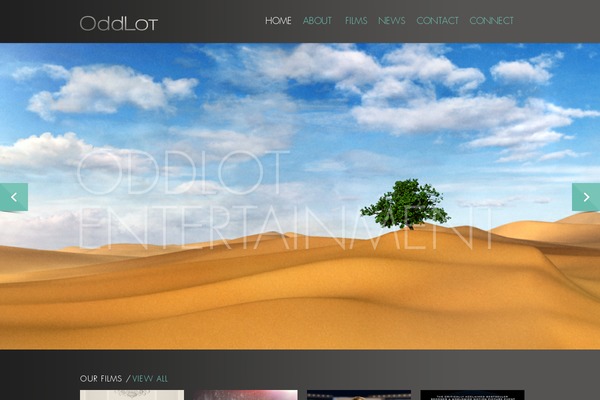 Salient theme site design template sample