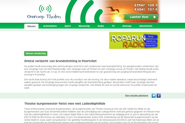 NewsMag theme site design template sample