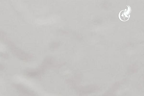 BeTheme Child theme site design template sample