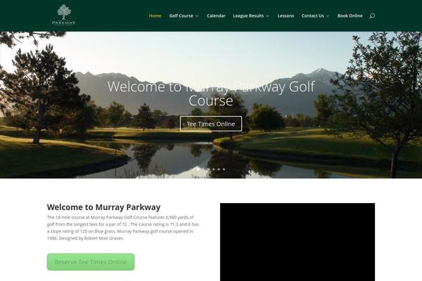 Divi theme site design template sample