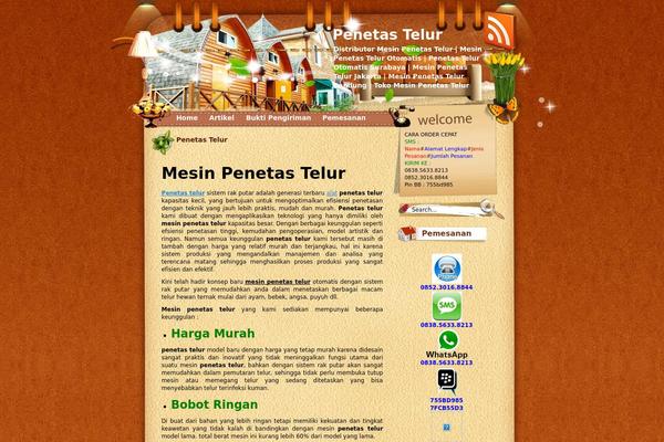 Site using All in One SEO Pack plugin