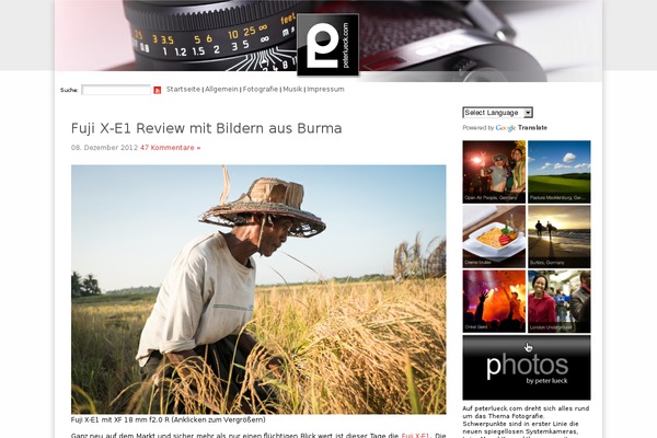 Peter theme site design template sample