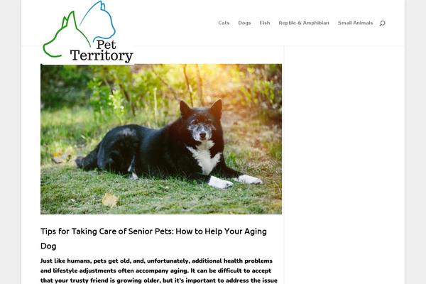 Divi_child theme site design template sample