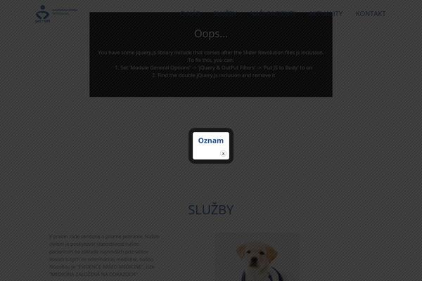BeTheme Child theme site design template sample