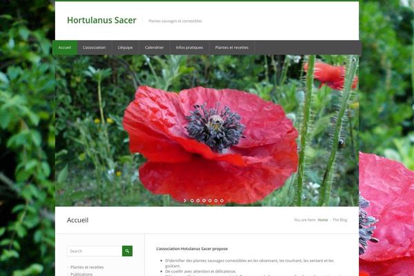 Nevia theme site design template sample
