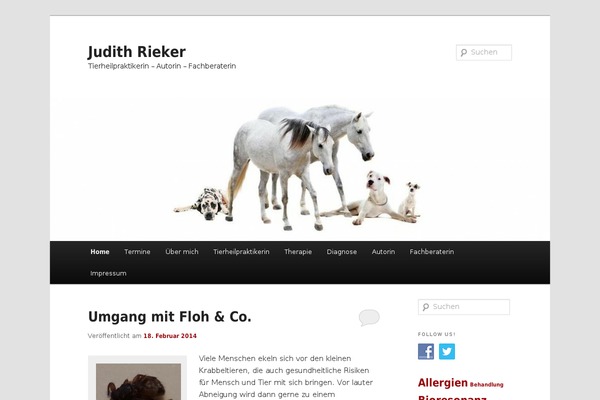 Twenty Eleven theme site design template sample