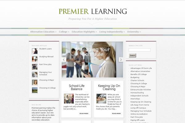 Magnificent theme site design template sample