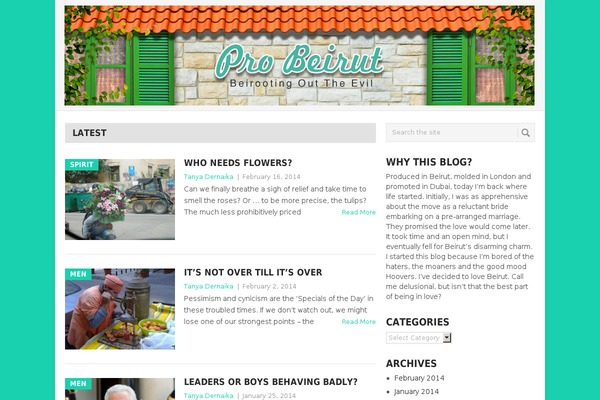 Point theme site design template sample