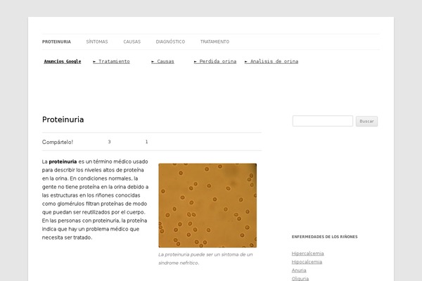 Twenty Twelve theme site design template sample