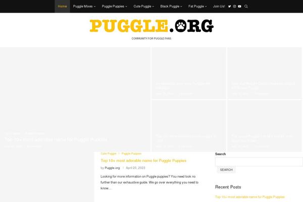 Site using Penci-shortcodes plugin
