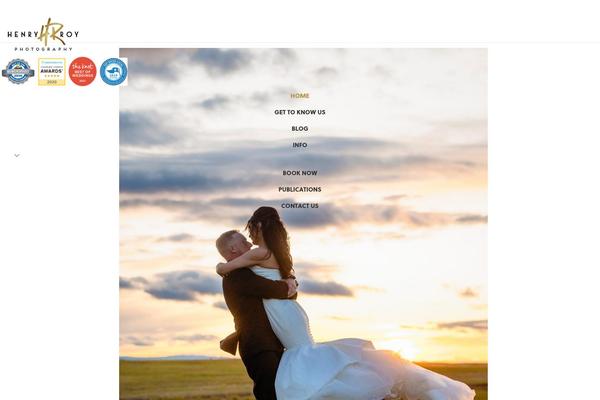 Pro theme site design template sample