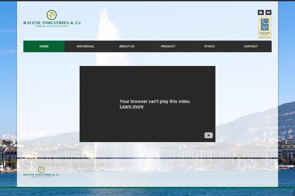 Point theme site design template sample