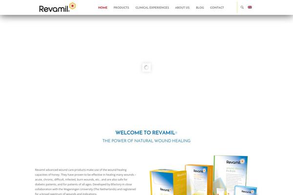 BeTheme Child theme site design template sample