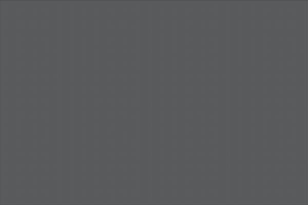 Site using Elementor-pro plugin