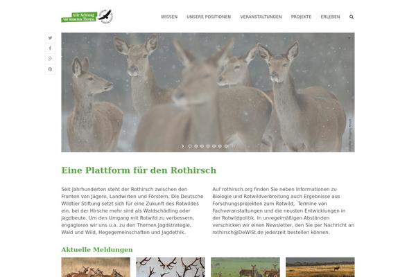 Enfold theme site design template sample