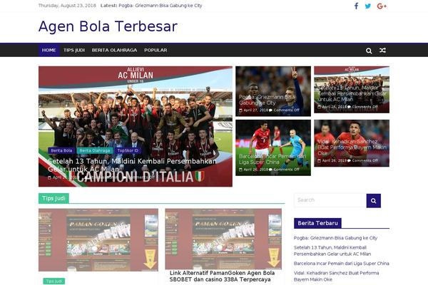 ColorMag theme site design template sample