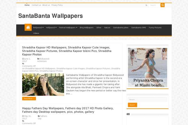 Sahifa theme site design template sample
