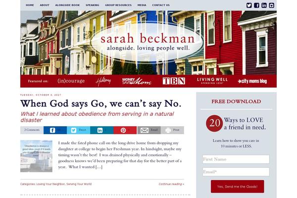 Pro theme site design template sample