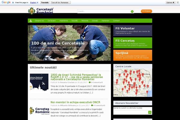 Site using Autoptimize plugin