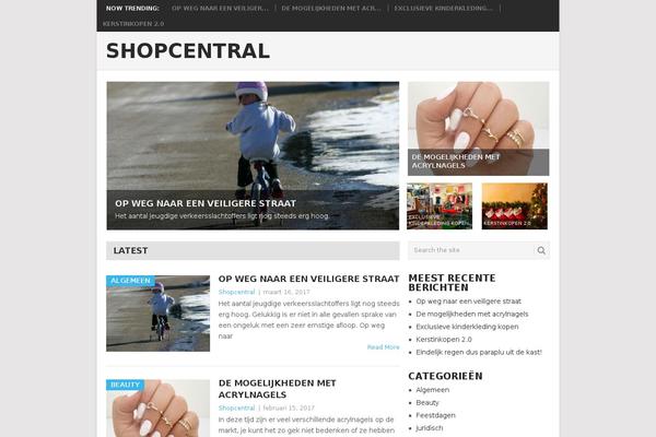 Point theme site design template sample