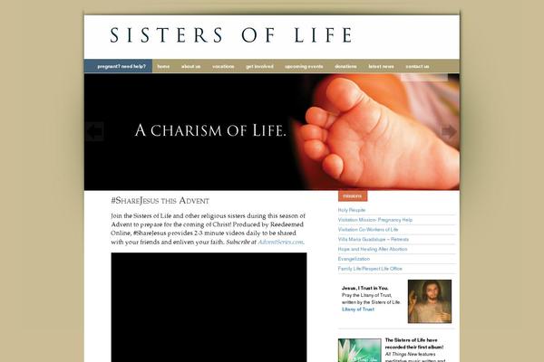 Salient Child theme site design template sample