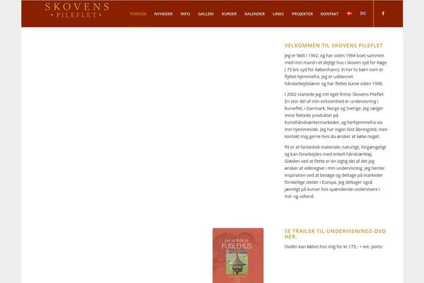Enfold theme site design template sample