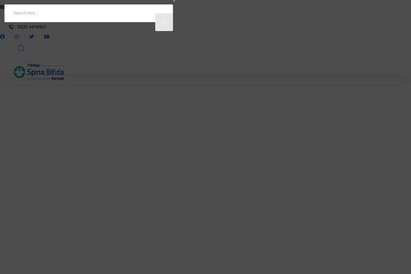 Site using Document Gallery plugin