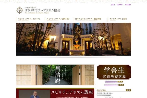 tsaj theme websites examples