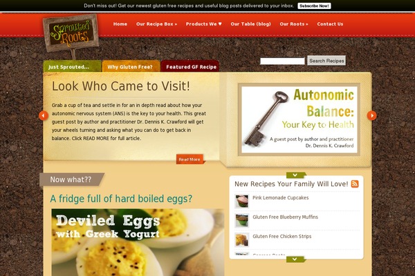 Site using Google Analytics by Yoast plugin