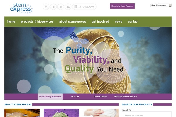 Bb-theme-child theme site design template sample