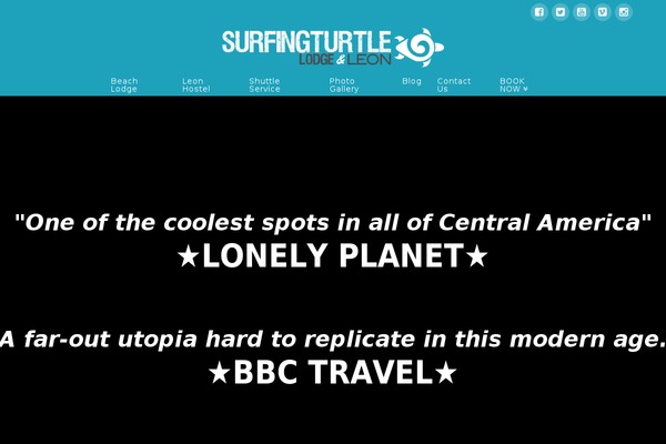 Pro theme site design template sample
