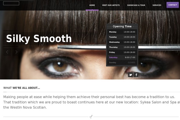HairPress theme site design template sample