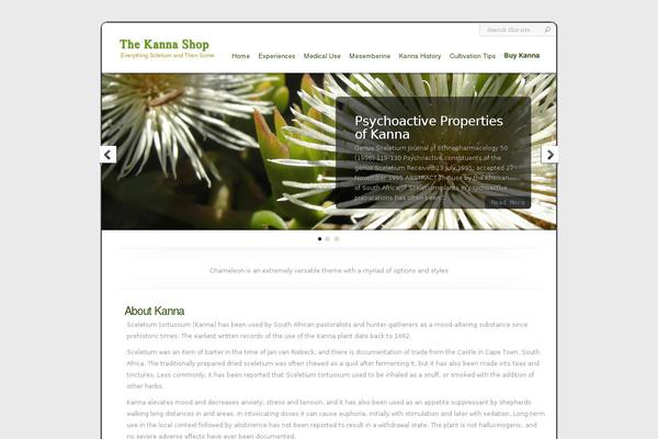 Chameleon theme site design template sample
