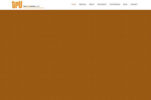trugroup theme websites examples