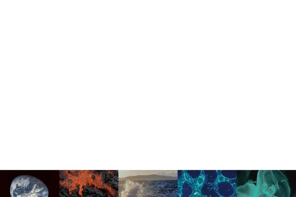 Site using Breadcrumbs-divi-module plugin