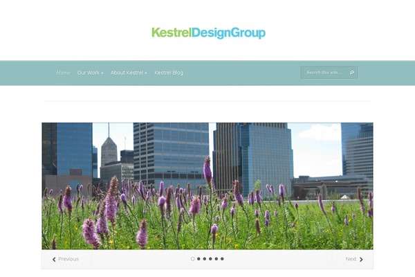 Evolution theme site design template sample