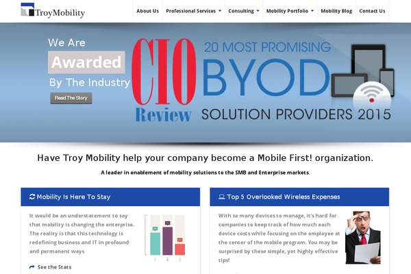 PRO Business theme site design template sample
