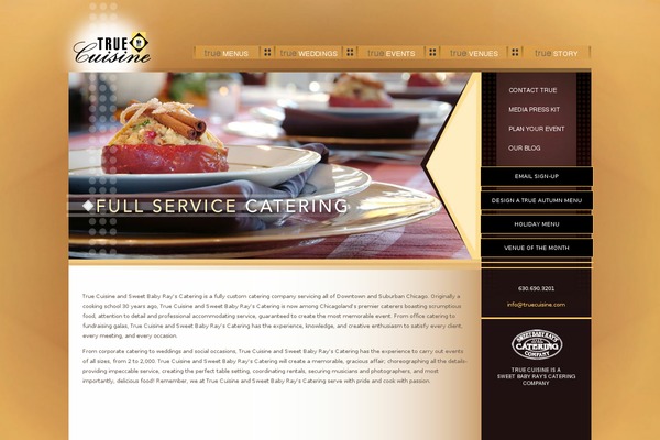 true_theme theme websites examples