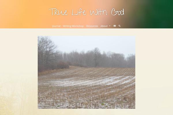 truelifewithgod theme websites examples