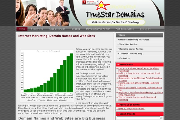 TrueStarDomainsTheme1000pxRC3303 theme websites examples