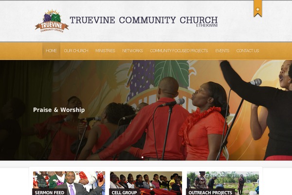 truevine theme websites examples